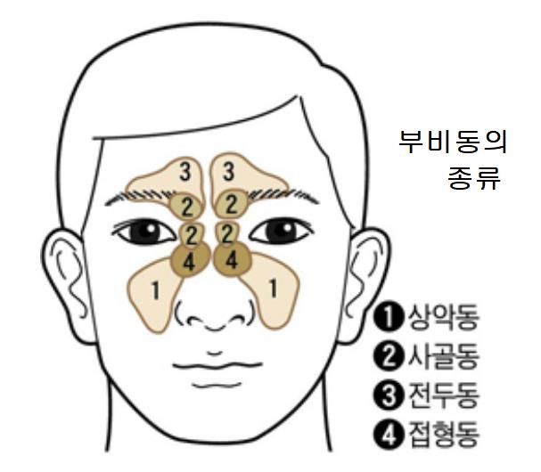 출처  헬스조선 