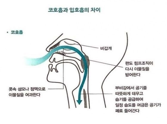 발췌  건강신문 